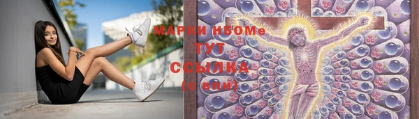 apvp Богородицк