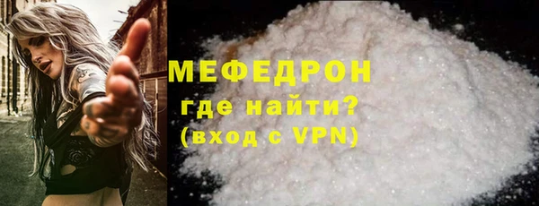 индика Богородск