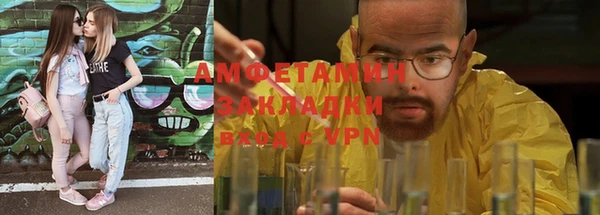 индика Богородск