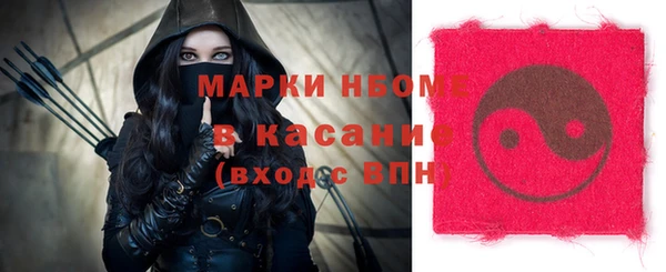 индика Богородск
