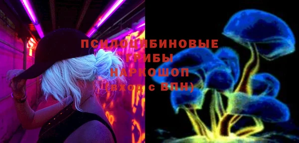 винт Богданович