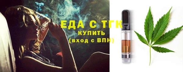 индика Богородск