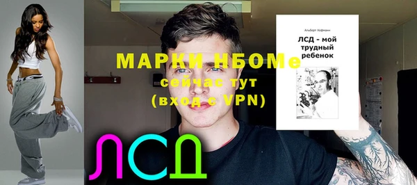 индика Богородск