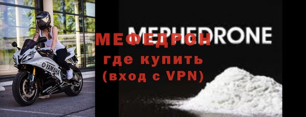 индика Богородск