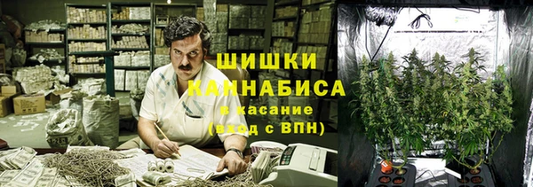 apvp Богородицк