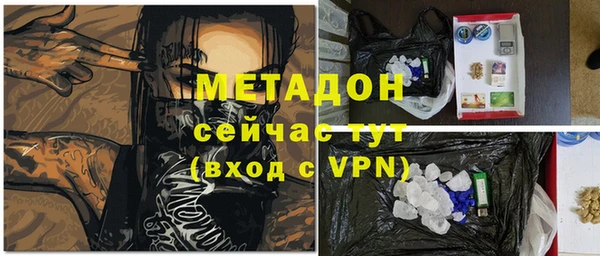 индика Богородск