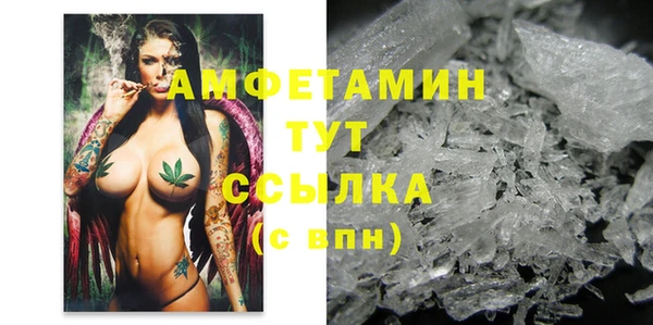 apvp Богородицк