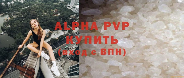 индика Богородск