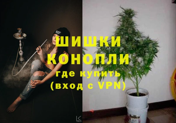 индика Богородск