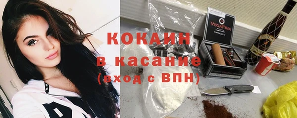 индика Богородск