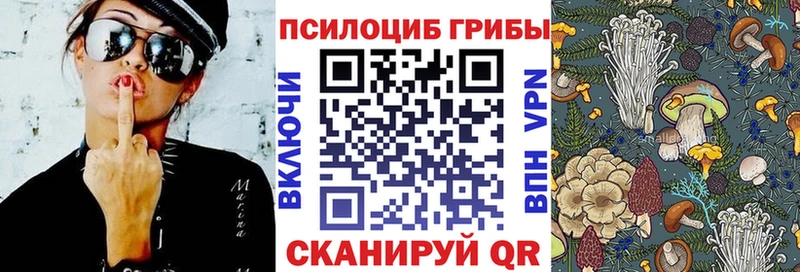 даркнет сайт  darknet какой сайт  Псилоцибиновые грибы GOLDEN TEACHER  Шадринск 
