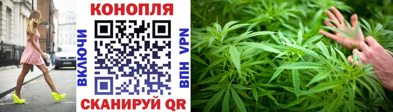 Канабис OG Kush  наркотики  Шадринск 